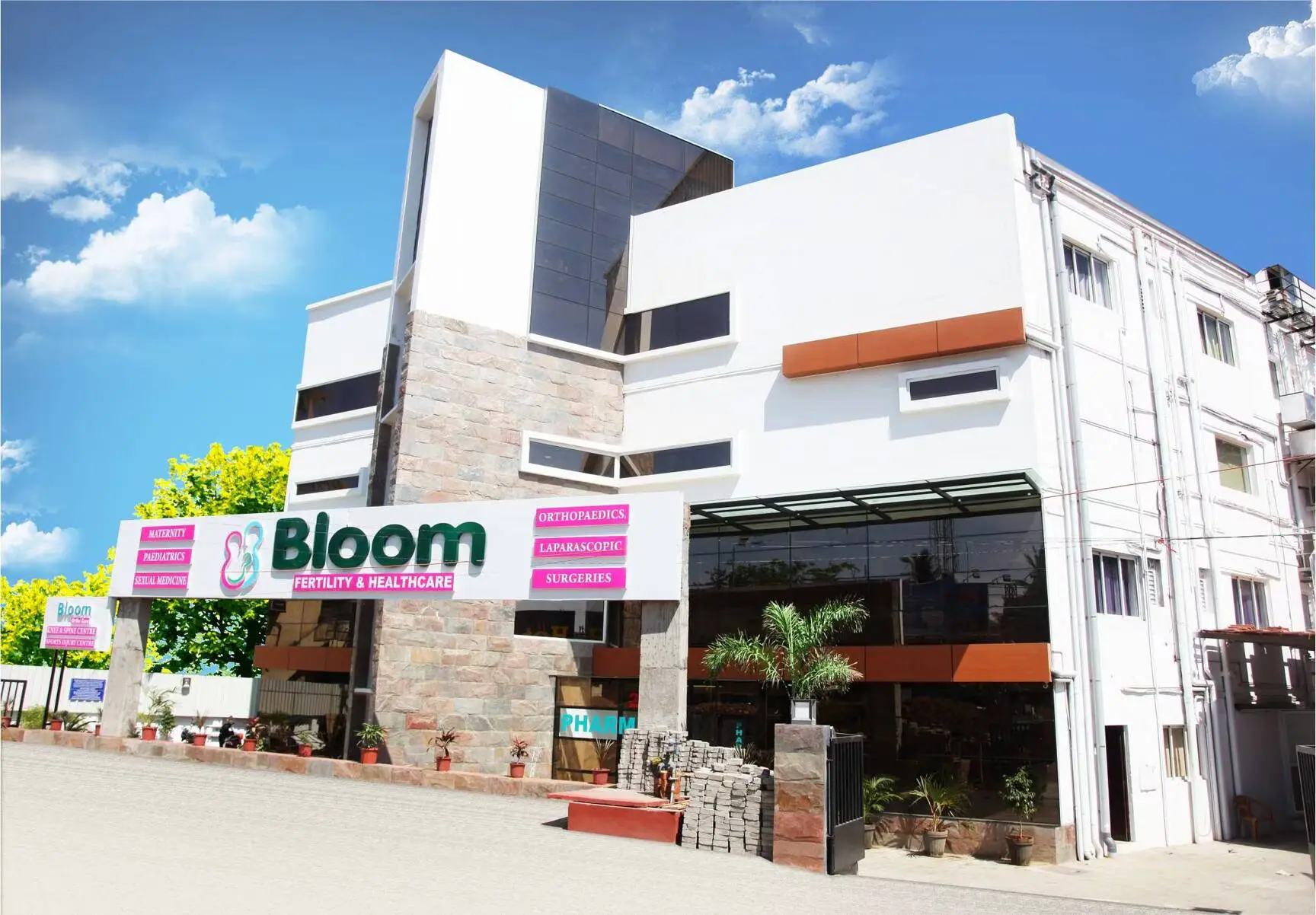 Bloom IVF